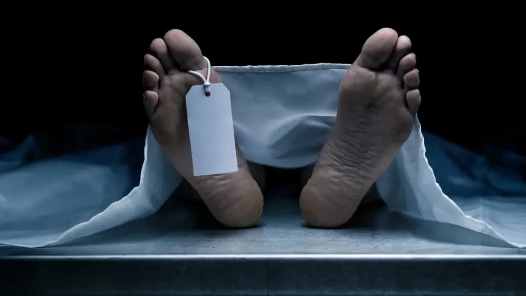 رفض الزوج شراء سجائر لها فقتلته.. جريمة زوجة مصرية تثير الجدل